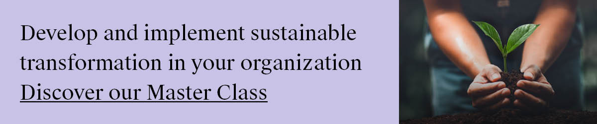 AMS_Sustainable_transformation_banners_blog2