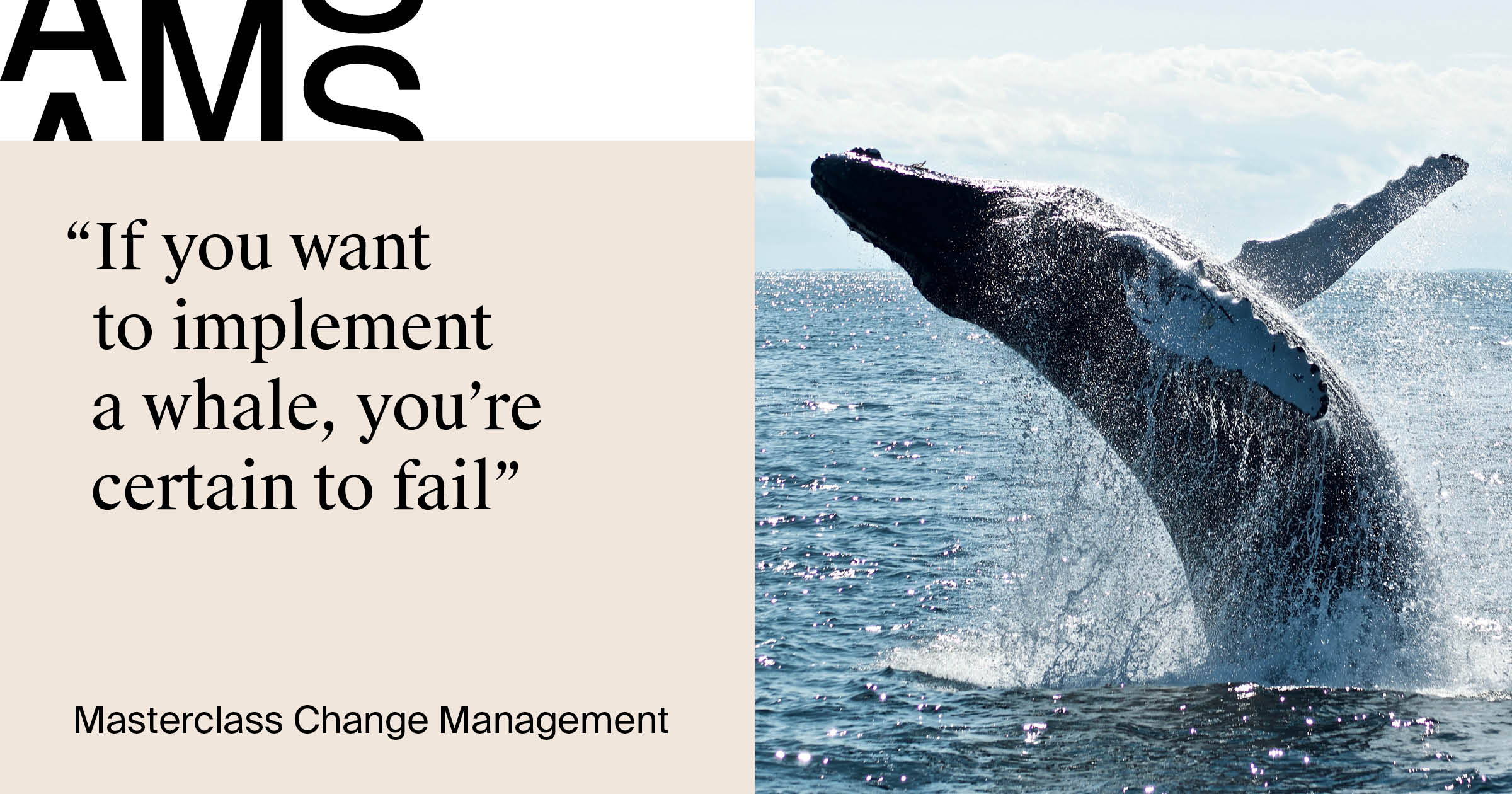 AMS_changeManagement_Banners_Social_WHALE