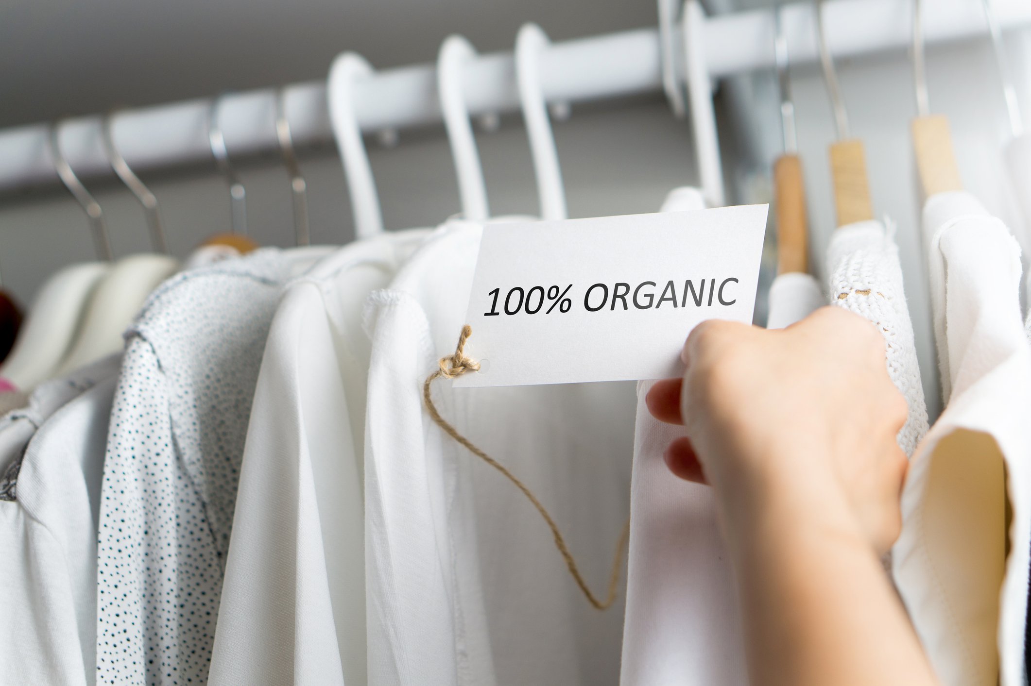 organic cotton